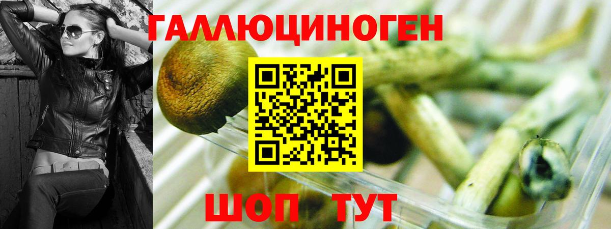 Псилоцибиновые грибы ЛСД  Вход с VPN  хочу наркоту  Ногинск  Галлюциногенные грибы Magic Shrooms 